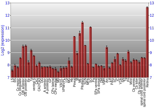 Expression graph