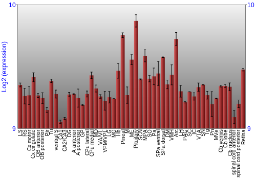 Expression graph