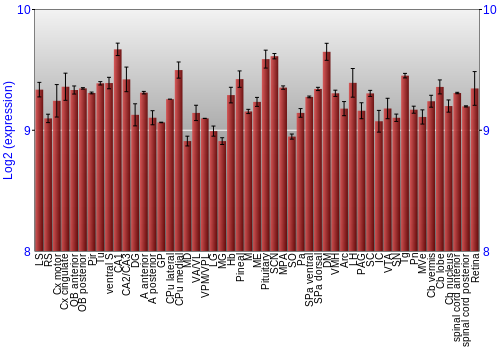 Expression graph