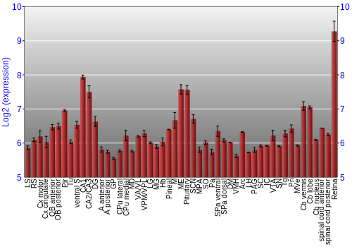 Expression graph
