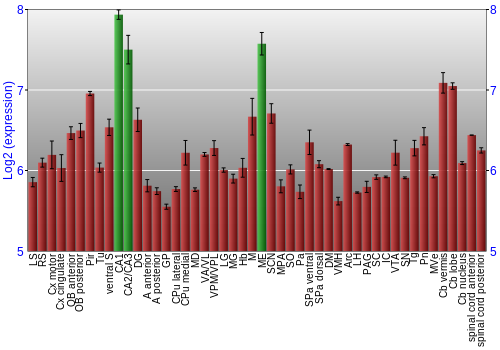 Multi-state expression graph