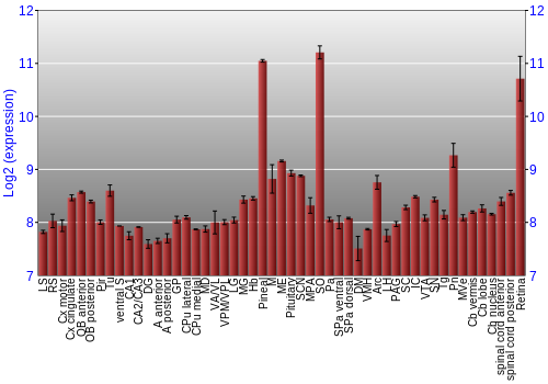 Expression graph