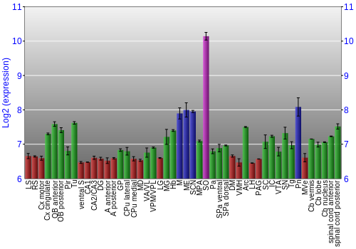 Multi-state expression graph
