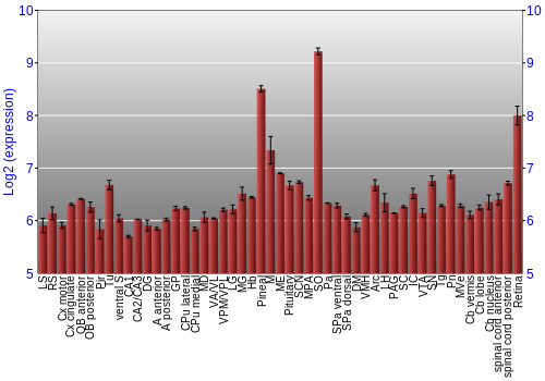 Expression graph