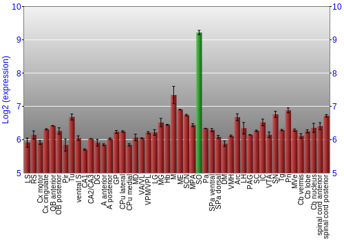 Multi-state expression graph