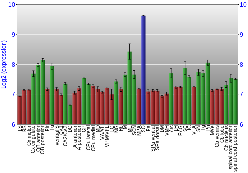 Multi-state expression graph