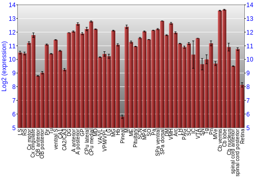 Expression graph