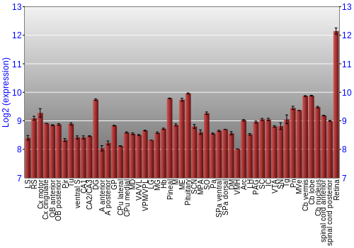 Expression graph