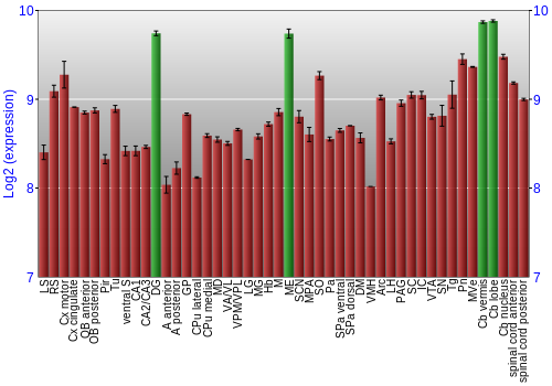 Multi-state expression graph