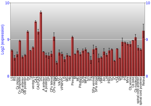 Expression graph