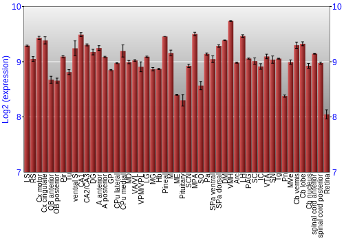 Expression graph