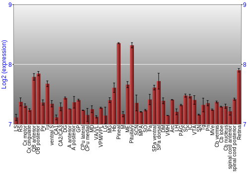 Expression graph