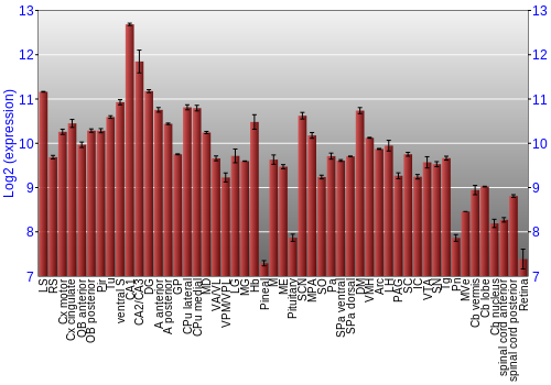 Expression graph