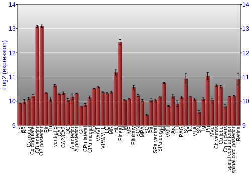 Expression graph