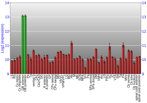Multi-state expression graph