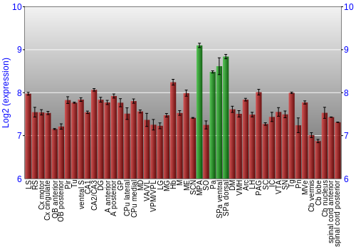 Multi-state expression graph