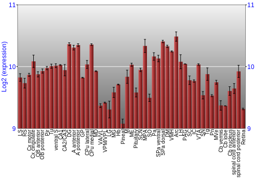 Expression graph