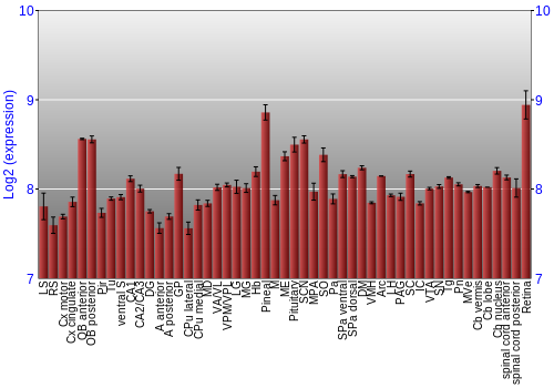 Expression graph