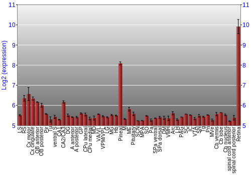 Expression graph