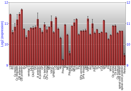Expression graph