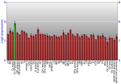 Multi-state expression graph