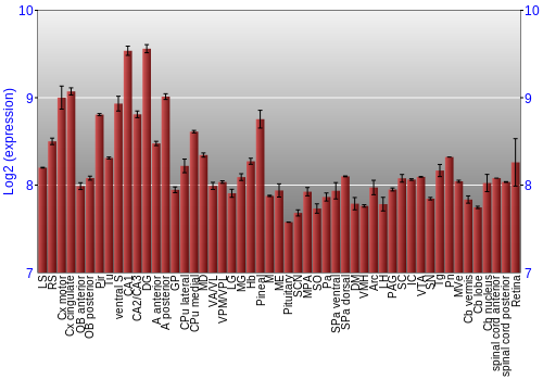 Expression graph