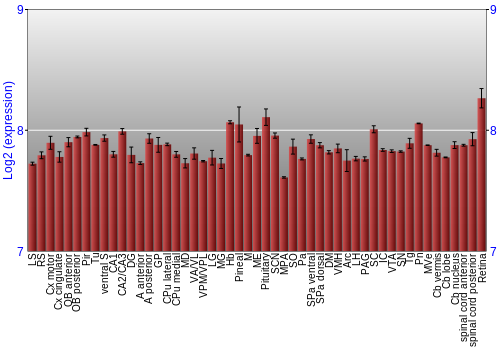 Expression graph