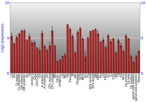 Expression graph
