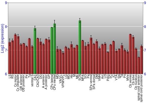 Multi-state expression graph