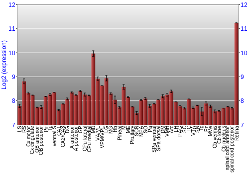 Expression graph