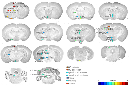 Expression map