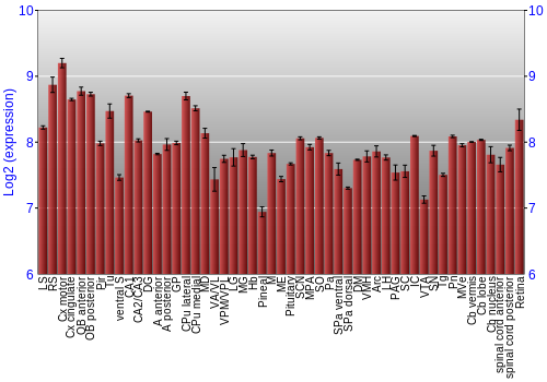Expression graph