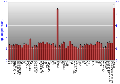 Expression graph
