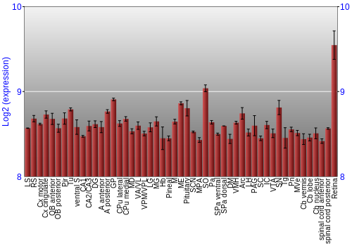 Expression graph