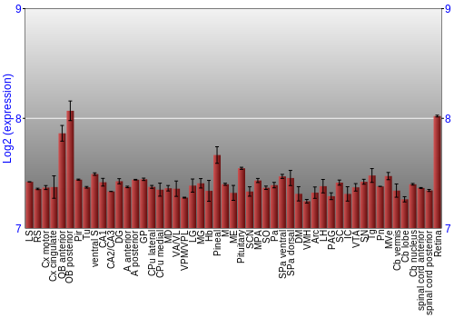 Expression graph