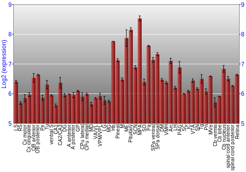 Expression graph