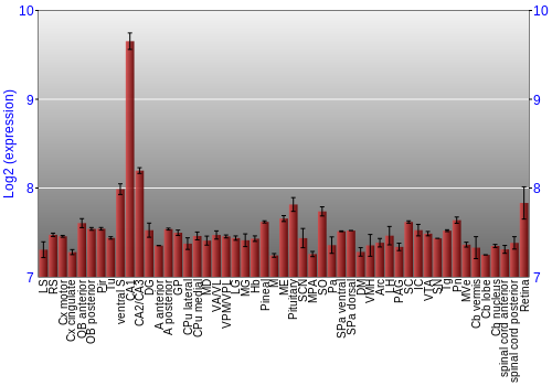 Expression graph