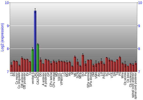 Multi-state expression graph