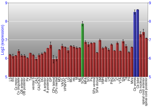 Multi-state expression graph