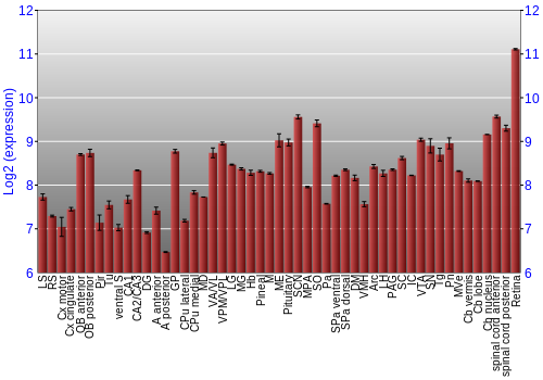 Expression graph