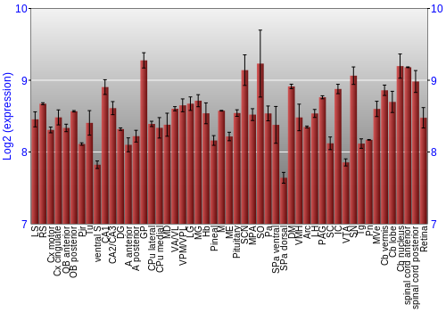 Expression graph