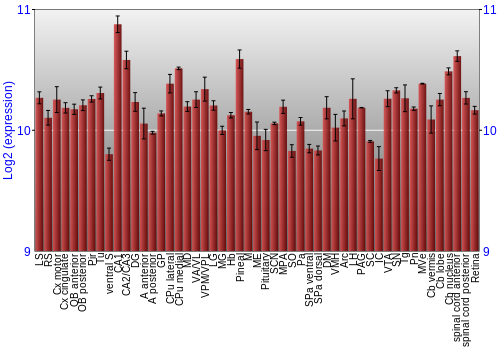 Expression graph
