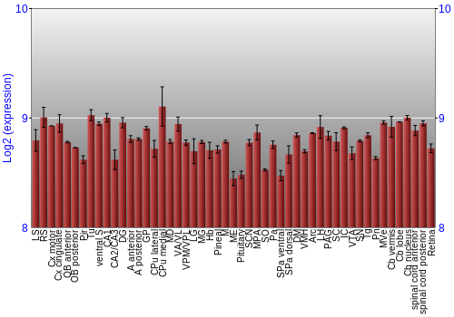 Expression graph