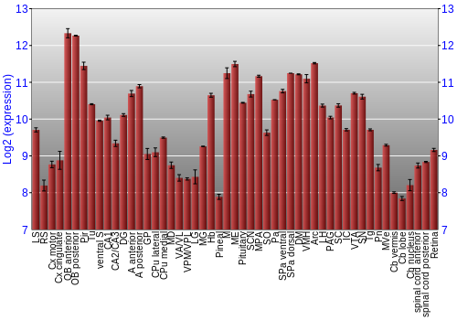 Expression graph