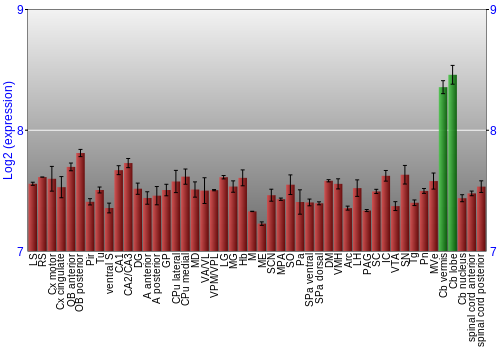 Multi-state expression graph
