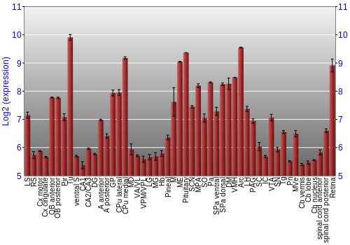 Expression graph