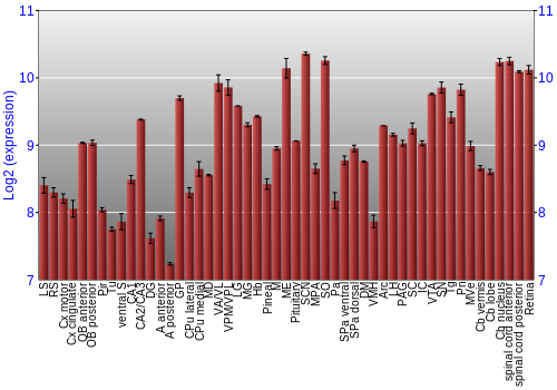 Expression graph
