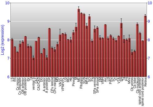 Expression graph