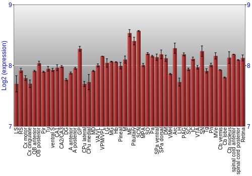 Expression graph