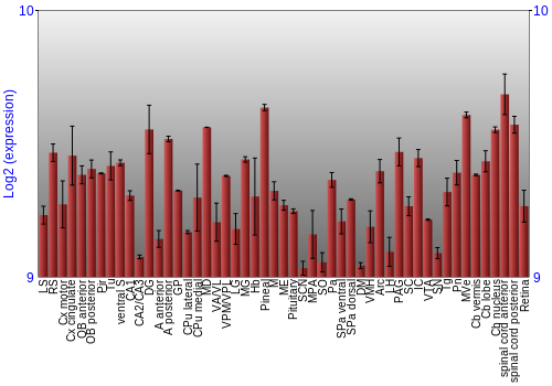 Expression graph